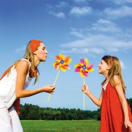 Hanekamp Energiesysteme  - CO2 Bilanz